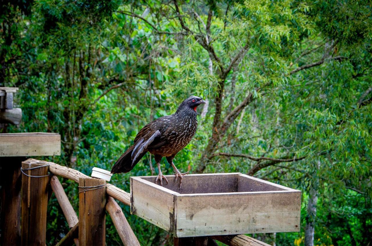 Pousada Rancho Das Framboesas Visconde De Maua Dış mekan fotoğraf